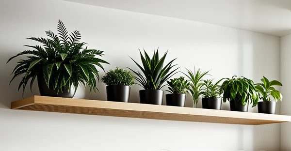 Étagère à plante : sublimez votre intérieur tout en économisant de l'espace